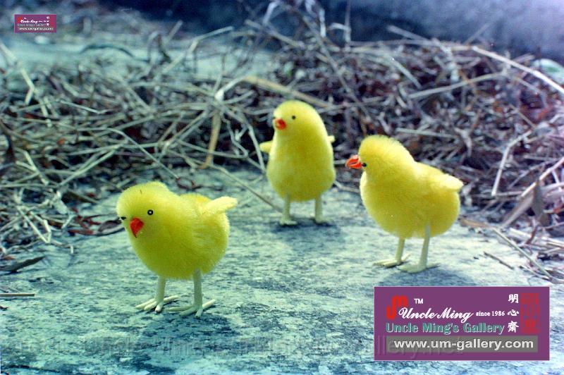 複製 -DSCN4568.JPG